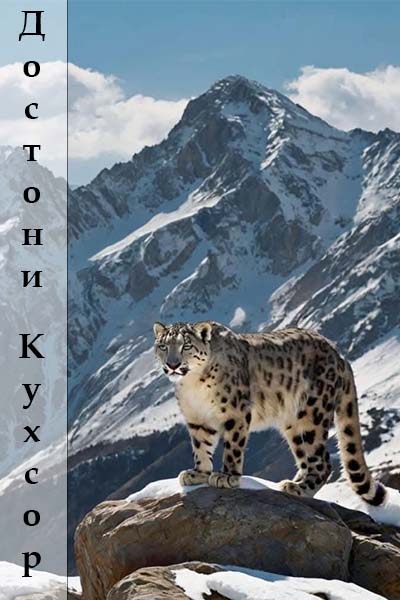 Достони кухсор